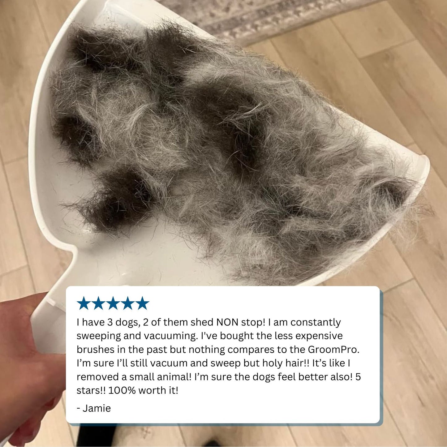 GroomPro™ Professional Pet Grooming Vacuum Kit for Shedding & Trimming