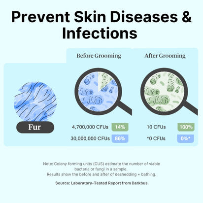 GroomPro™ Professional Pet Grooming Vacuum Kit for Shedding & Trimming