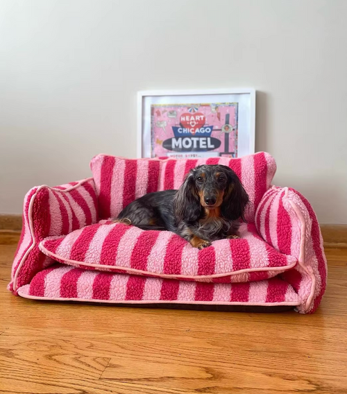 PetPal™ – Dog Calming Sofa Bed