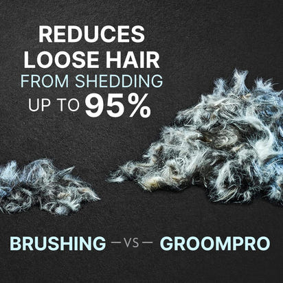 GroomPro™ Professional Pet Grooming Vacuum Kit for Shedding & Trimming
